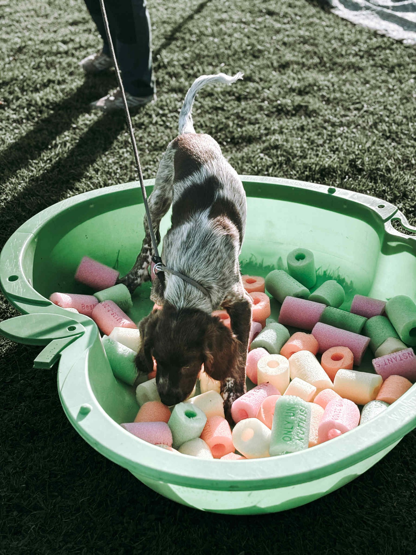 Leta godis var nog Nelsons favorit